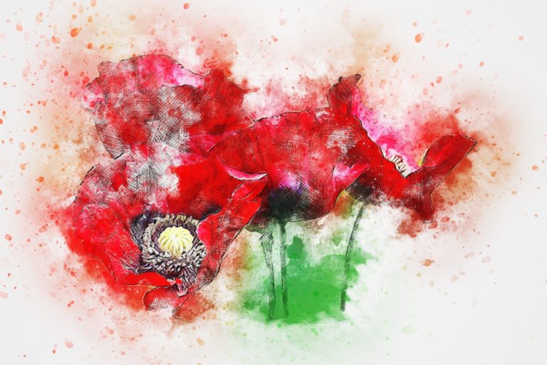 Préservation de la biodiversité : "Nous voulons des coquelicots!"