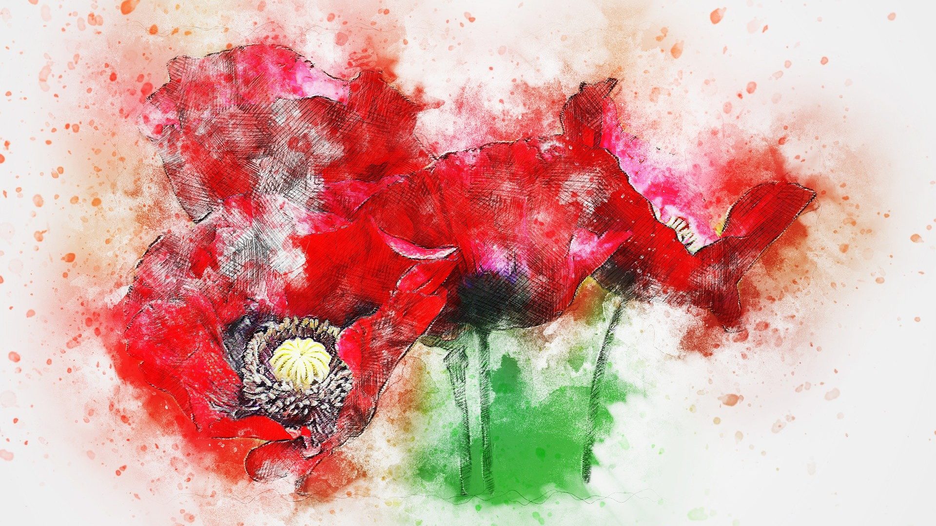 Préservation de la biodiversité : "Nous voulons des coquelicots!"
