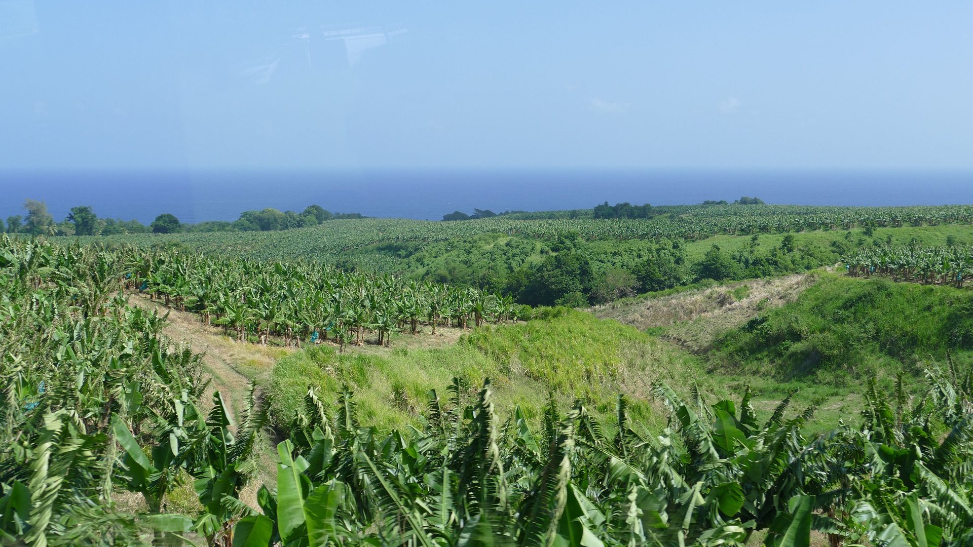 martinique-4900892_1920